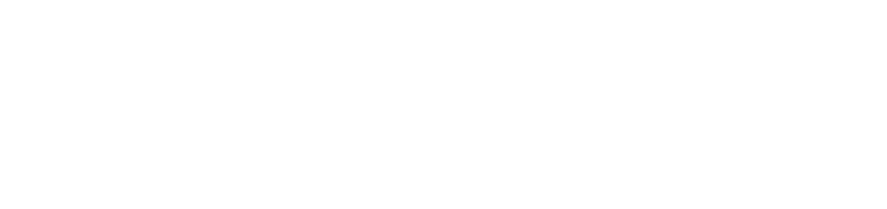 KLS Martin Group